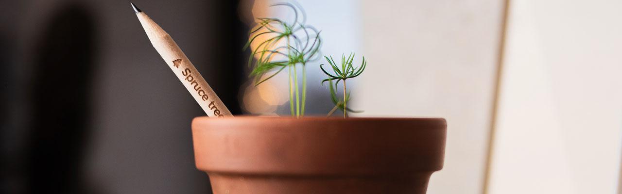 matite personalizzate economiche