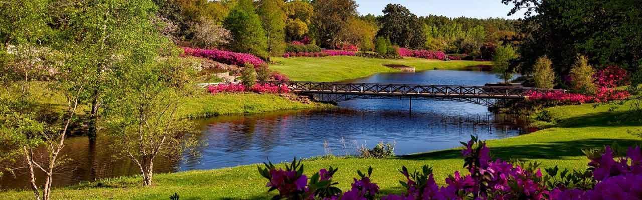 Gadget ecologici per la giornata europea dei parchi