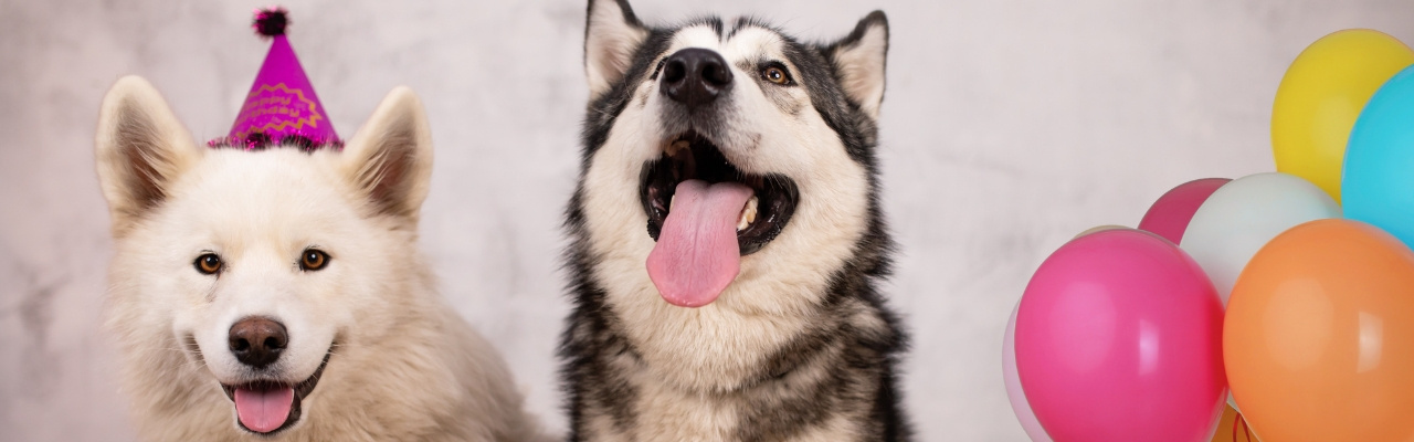 Costume Da Capitano Pirata Nero - Foto 6