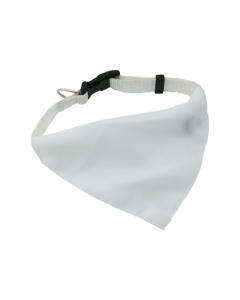 Collarino personalizzato cane