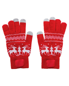 Guanti natalizi in acrilico con patch stampabile