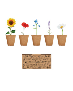 Kit coltivazione fiori misti con semi e terra