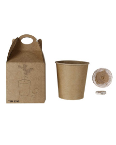 Kit per coltivare un pino