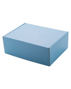 Packaging in cartone | 24 x 17.5 x 8.5 cm