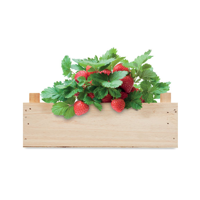 Kit coltivazione fragole in scatola di legno