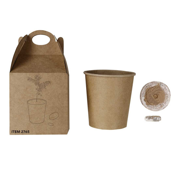 Kit per coltivare un pino
