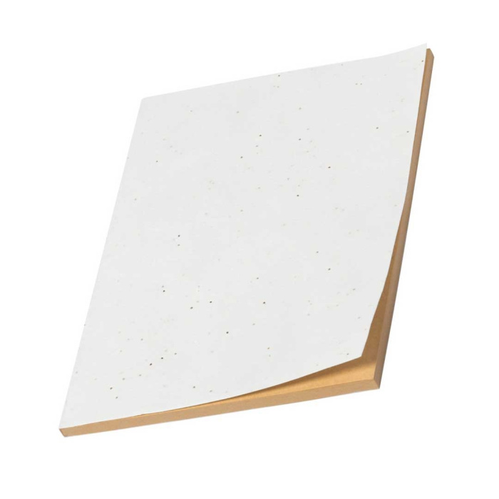 Bloc notes A5 copertina con semi