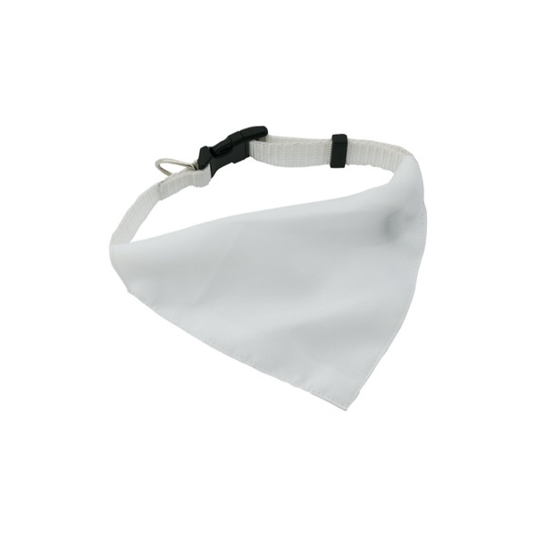 Collarino personalizzato cane