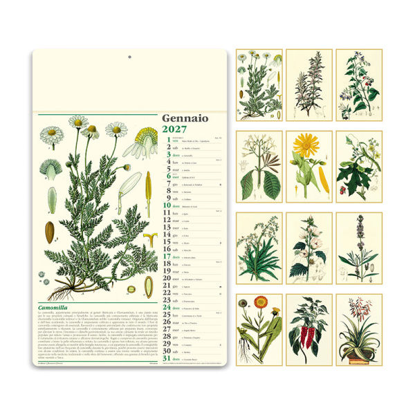 Calendario illustrato Erboristeria