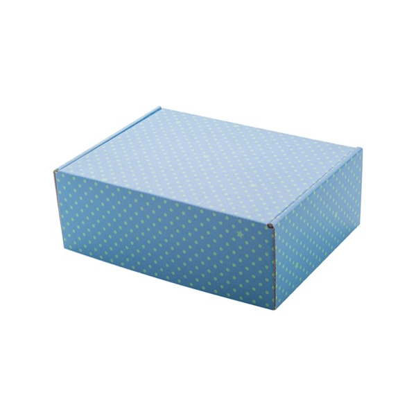 Packaging in cartone | 24 x 17.5 x 8.5 cm