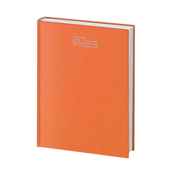 Agende personalizzate 2025 | giornaliera 12x17 cm