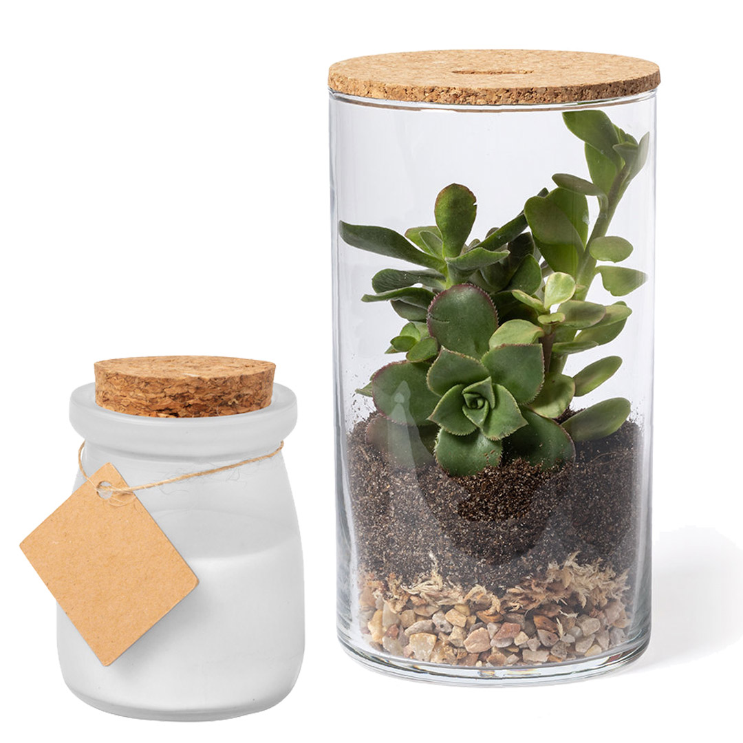 Scopri la selezione di gadget per la casa pubblicitari