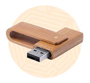 USB con corpo in legno. Background composto da un cerchio arancione. 