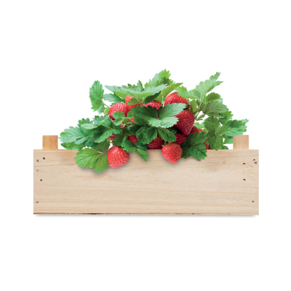 Kit coltivazione fragole in scatola di legno